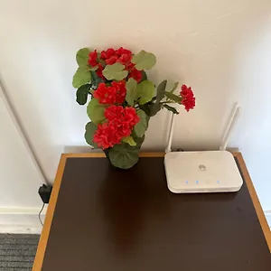  Guest house Rose View